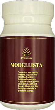 MODELLISTA モデリスタ